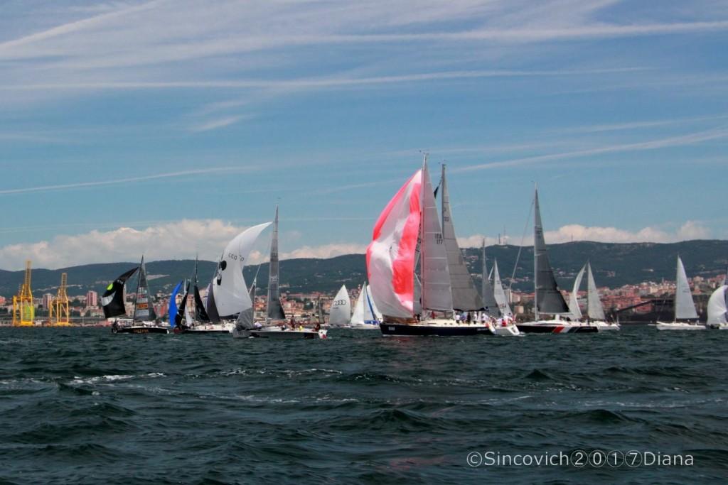 19388461_10207597681338871_1458450277577077520_o