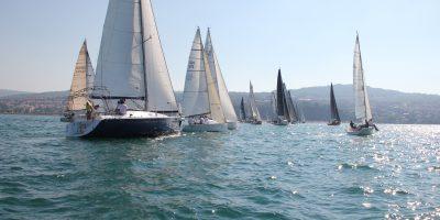 52. Šavrinska regata 